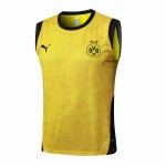 Bv Borussia Dortmund Maglia 2025 2026 - Maglia Borussia Dortmund Allenamento | itmagliettecalcio