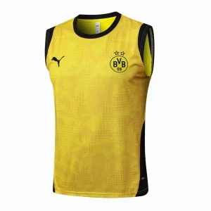 Bv Borussia Dortmund Maglia 2025 2026 - Maglia Borussia Dortmund Allenamento | itmagliettecalcio