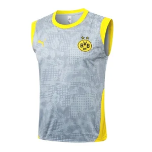 Bv Borussia Dortmund Maglia 2025 2026 - Maglia Borussia Dortmund Allenamento | itmagliettecalcio