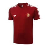 Spagna Maglia 2026 - Maglia Spagna Allenamento 24/25 | itmagliettecalcio