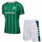 Werder Brema Completo 2025 2026 Casa Verde - Werder Brema Economica | itmagliettecalcio