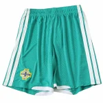 Irlanda Del Nord Maglia 2026 Casa Verde - Maglia Irlanda Del Nord | itmagliettecalcio