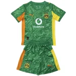 Bv Borussia Dortmund Completo 2025 2026 Verde - Bv Borussia Dortmund Economica | itmagliettecalcio