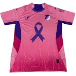 Hoffenheim Maglia 2025 2026 Rosa - Maglia Hoffenheim | itmagliettecalcio