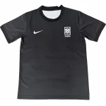 Corea del Sud Maglia 2026 - Maglia Corea Del Sud 2025 | itmagliettecalcio