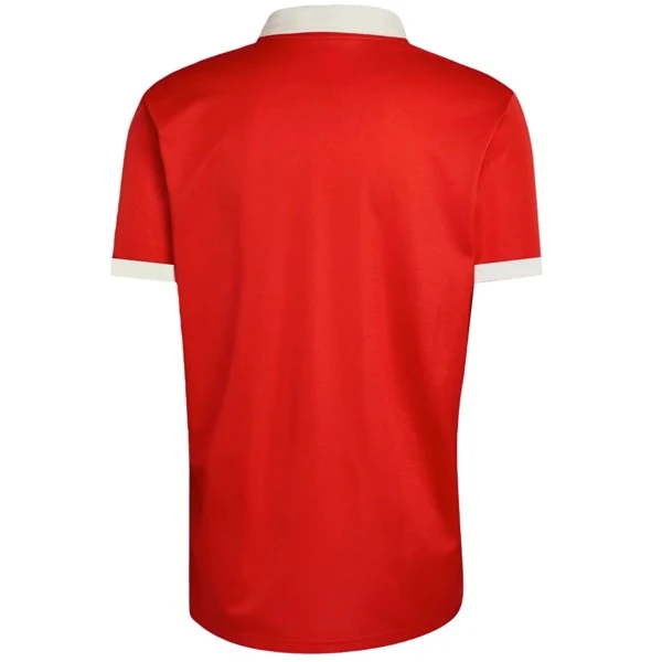 Galles Maglia 2026 - Maglia Galles Rugby | itmagliettecalcio