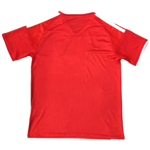 Galles Maglia 2026 - Maglia Galles Rugby | itmagliettecalcio