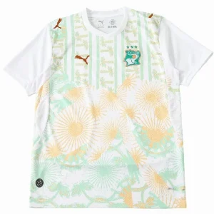 Costa D'avorio Maglia 2026 - Maglia Costa D'avorio | itmagliettecalcio