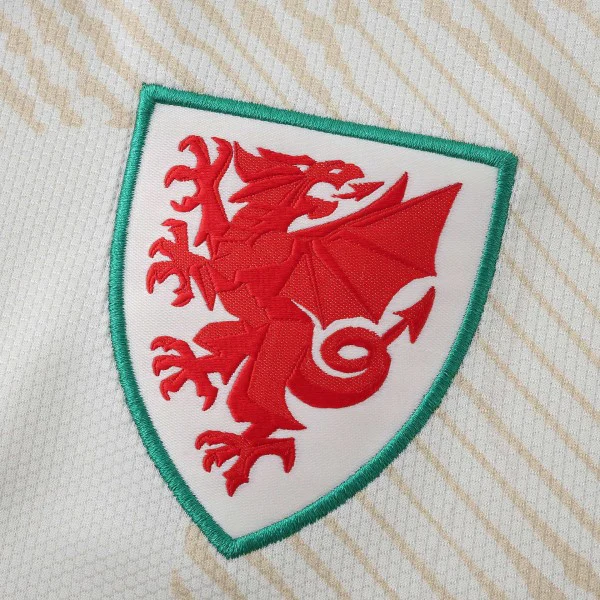 Galles Maglia 2026 - Maglia Galles Rugby | itmagliettecalcio