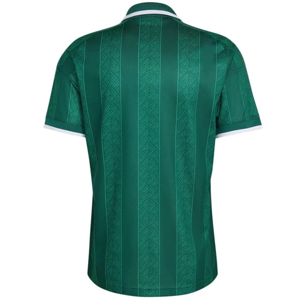 Sudafrica Maglia 2026 Verde - Maglia Sudafrica 2025 | itmagliettecalcio