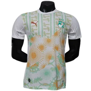 Costa D'avorio Maglia 2026 - Maglia Costa D'avorio | itmagliettecalcio