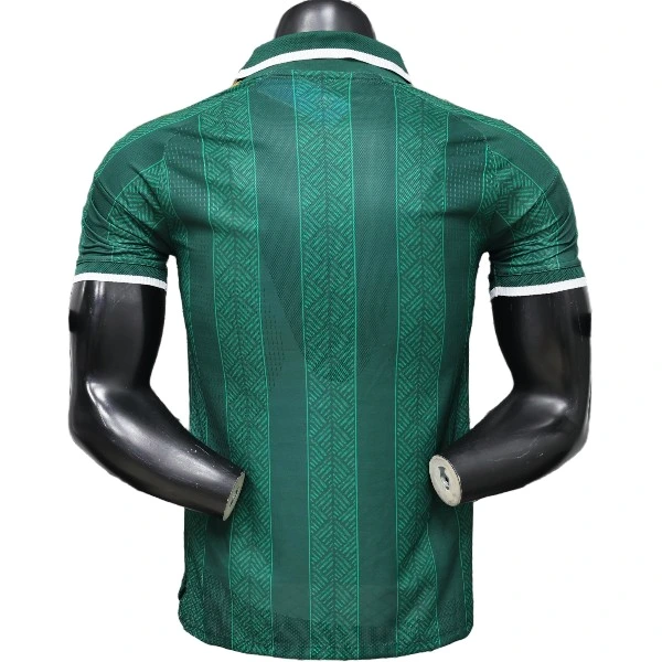 Sudafrica Maglia 2026 Verde - Maglia Sudafrica 2025 | itmagliettecalcio
