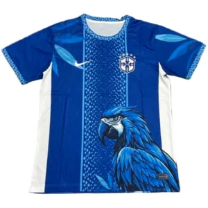 Brasile Maglia 2026 - Maglia Brasile | itmagliettecalcio