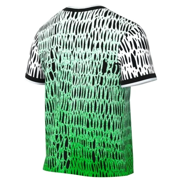 Nigeria Maglia 2026 Verde - Maglia Nigeria | itmagliettecalcio